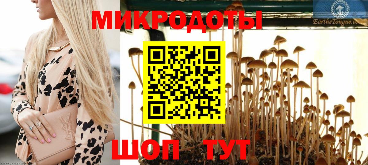 закладка  Псилоцибиновые грибы Magic Shrooms  Вход с VPN  Острогожск  Галлюциногенные грибы мицелий 